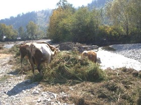 program turistic, cazare, harghita